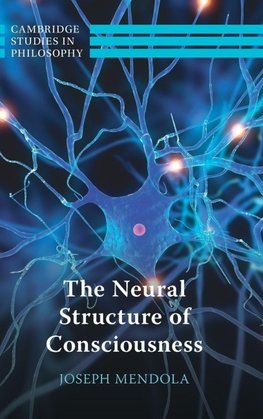The Neural Structure of Consciousness
