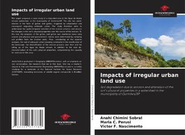 Impacts of irregular urban land use