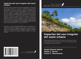 Impactos del uso irregular del suelo urbano