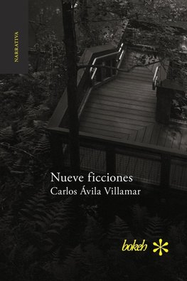 Nueve ficciones