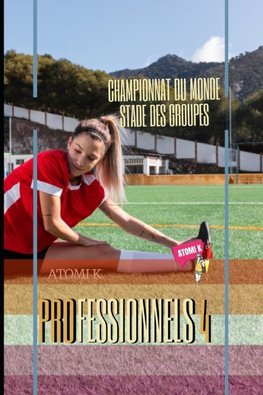 PROFESSIONNEL IV