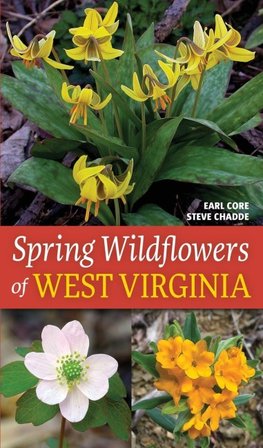 Spring Wildflowers of West Virginia