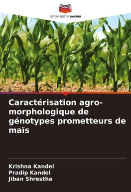 Caractérisation agro-morphologique de génotypes prometteurs de maïs
