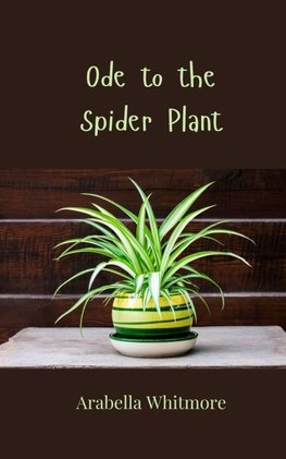 Ode to the Spider Plant