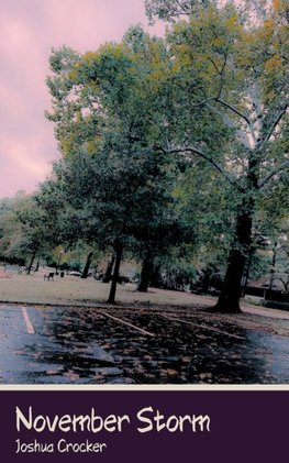 November Storm