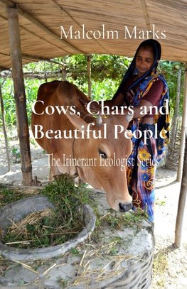 Cows, Chars and Beautiful People