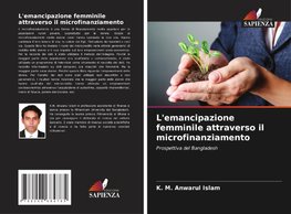 L'emancipazione femminile attraverso il microfinanziamento