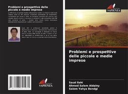 Problemi e prospettive delle piccole e medie imprese