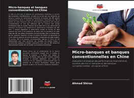 Micro-banques et banques conventionnelles en Chine