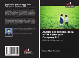 Analisi del bilancio della MARI Petroleum Company Ltd