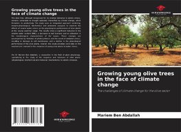 Growing young olive trees in the face of climate change