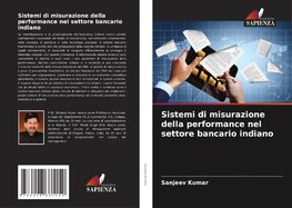 Sistemi di misurazione della performance nel settore bancario indiano