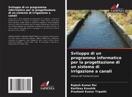 Sviluppo di un programma informatico per la progettazione di un sistema di irrigazione a canali