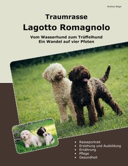 Traumrasse Lagotto Romagnolo
