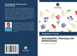 Sozialpolitik, Planung und Entwicklung