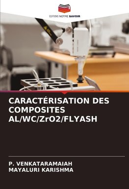 CARACTÉRISATION DES COMPOSITES AL/WC/ZrO2/FLYASH