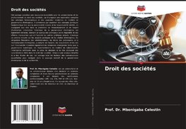 Droit des sociétés