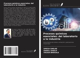 Procesos químicos esenciales: del laboratorio a la industria