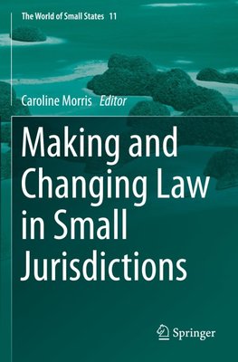 Making and Changing Law in Small Jurisdictions