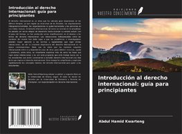 Introducción al derecho internacional: guía para principiantes
