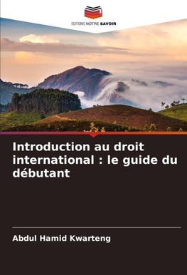 Introduction au droit international : le guide du débutant