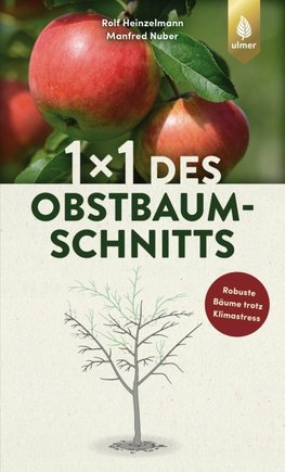1 x 1 des Obstbaumschnitts