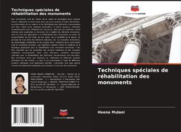 Techniques spéciales de réhabilitation des monuments