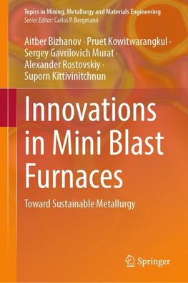 Innovations in Mini Blast Furnaces