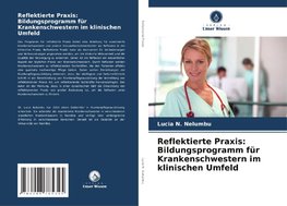 Reflektierte Praxis: Bildungsprogramm für Krankenschwestern im klinischen Umfeld