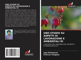 UNO STUDIO SU ASPETTI DI LAVORAZIONE E AMBIENTALI DI