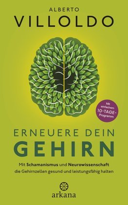 Erneuere dein Gehirn
