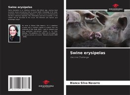 Swine erysipelas