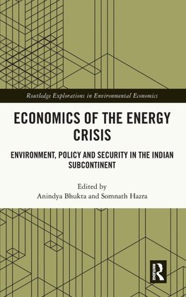 Economics of the Energy Crisis