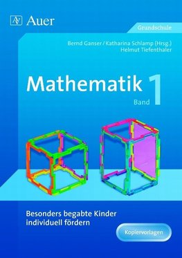 Begabte Kinder individuell fördern, Mathe Band 1