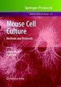 Mouse Cell Culture