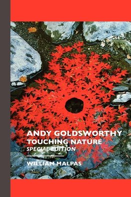 ANDY GOLDSWORTHY
