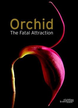 Orchid