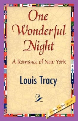 One Wonderful Night