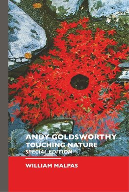 ANDY GOLDSWORTHY