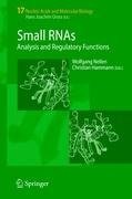 Small RNAs: