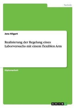 Realisierung der Regelung eines Laborversuchs mit einem flexiblen Arm