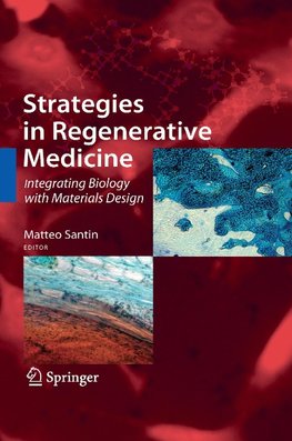 Strategies in Regenerative Medicine