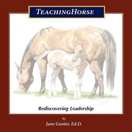 Teachinghorse