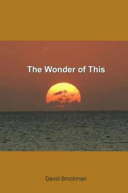the wonder of this