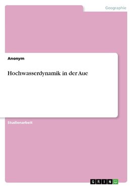Hochwasserdynamik in der Aue