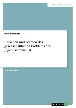 Ursachen und Formen des gesellschaftlichen Problems der Jugendkriminalität