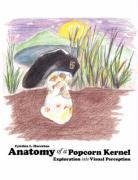 Anatomy of a Popcorn Kernel