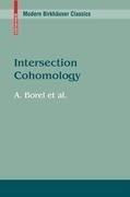 Intersection Cohomology
