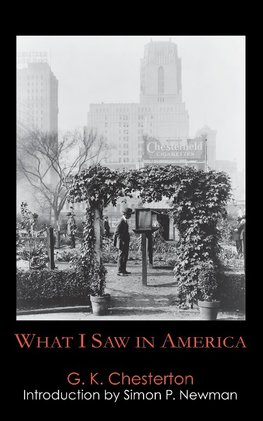 What I Saw in America