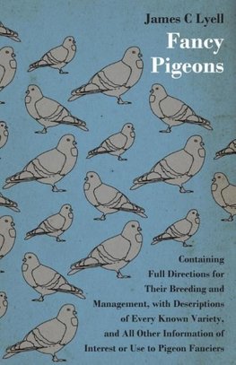 Fancy Pigeons